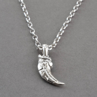 Sterling Silver Raptor Claw Pendant - AMAZINGNECKLACE.COM